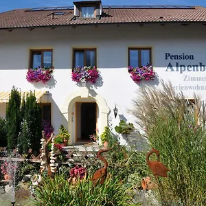 Gaestehaus Alpenblick Homestay